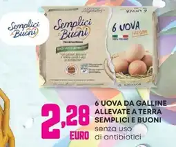 Panorama 6 uova da galline allevate a terra SEMPLICI E BUONI offerta