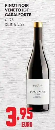 Panorama Pinot noir veneto igt CASALFORTE offerta