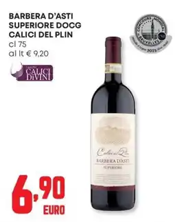 Panorama Barbera d'asti superiore docg CALICI DEL PLIN offerta