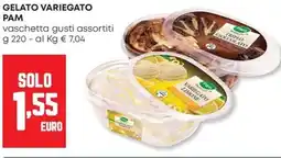 Panorama Gelato variegato PAM offerta