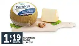 Deco Supermercati Bayernland pamigo offerta