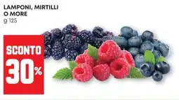 Panorama Lamponi, mirtilli o more offerta