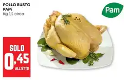 Panorama Pollo busto PAM offerta