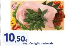 Sigma Coniglio nazionale offerta