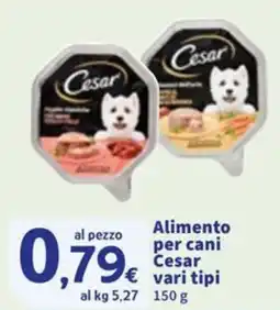 Sigma Alimento per cani Cesar offerta