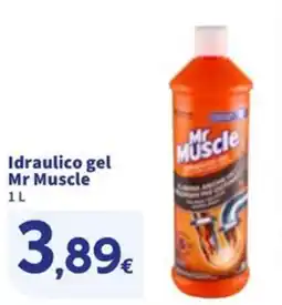 Sigma Idraulico gel Mr Muscle offerta
