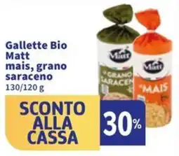Sigma Gallette Bio Matt mais, grano saraceno offerta