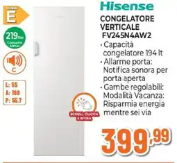Expert Hisense CONGELATORE VERTICALE FV245N4AW2 offerta