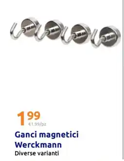 Action Ganci magnetici Werckmann offerta
