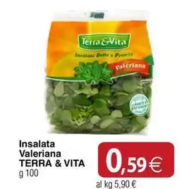 Docks Cash&Carry Insalata Valeriana TERRA & VITA offerta