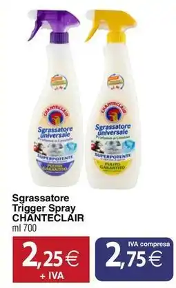 Docks Cash&Carry Sgrassatore Trigger Spray CHANTECLAIR offerta