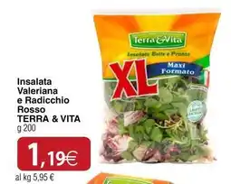 Docks Cash&Carry Insalata Valeriana e Radicchio Rosso TERRA & VITA offerta
