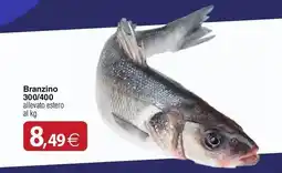 Docks Cash&Carry Branzino 300/400 offerta