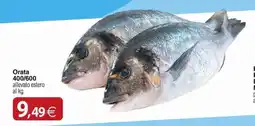 Docks Cash&Carry Orata 400/600 offerta