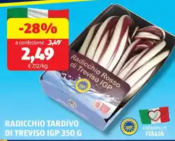 ALDI Radicchio tardivo di treviso IGP offerta