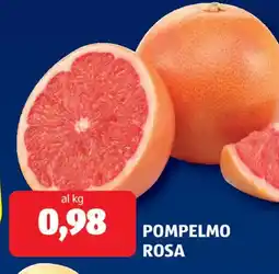 ALDI Pompelmo rosa offerta