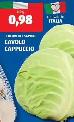 ALDI I colori del sapore cavolo cappuccio offerta