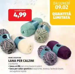 ALDI Home creation lana per calzini offerta