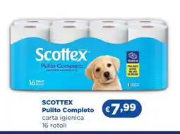Acqua & Sapone Scottex Pulito Completo offerta