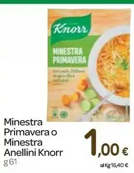 Carrefour Express Knorr - minestra primavera 61 g(ml) offerta