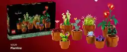 Euronics Lego Botanicals Piantine offerta