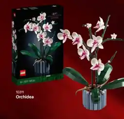 Euronics Lego Botanicals Orchidea offerta