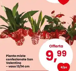 Despar Piante miste confezionate San Valentino offerta
