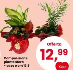 Despar Composizione piante sfera offerta