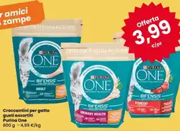 Despar Croccantini per gatto Purina One offerta
