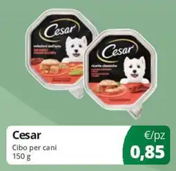 Acqua & Sapone Cesar Cibo per cani offerta