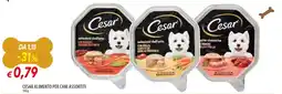 Galassia Cesar alimento per cani offerta