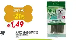 Galassia Amico veg dentalveg 100% vegetal mini offerta