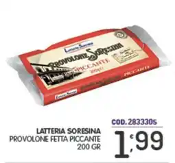 Eurocash Latteria soresina provolone fetta piccante offerta