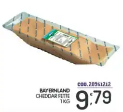 Eurocash Bayernland cheddar fette offerta