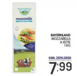 Eurocash Bayernland mozzarella a fette offerta