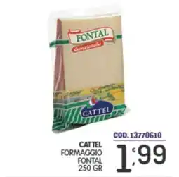 Eurocash Cattel formaggio fontal offerta