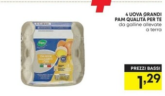 Pam 4 uova grandi pam qualità per te offerta