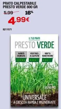 Bricofer Prato calpestabile presto verde offerta