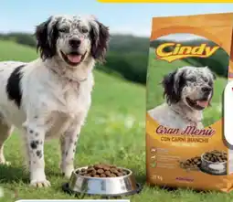 Bricofer Carni bianche Cindy offerta