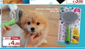 Satur Accessori per cani offerta