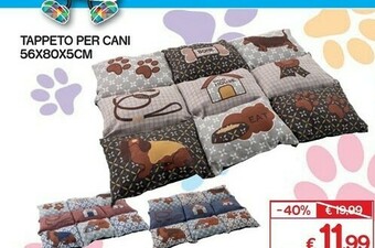 Accessori per cani