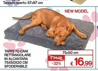 Accessori animali