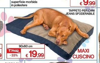 Satur Accessori per cani offerta