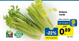 Lidl Sedano verde 600 g offerta