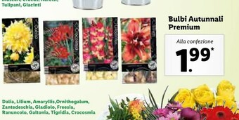 Bulbi autunnali premium