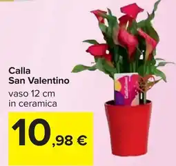 Carrefour Calla San Valentino offerta