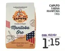 Eurocash Caputo farina manitoba offerta