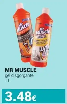 Tigotà MR MUSCLE gel disgorgante offerta