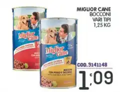 Eurocash Miglior cane bocconi offerta