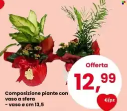 Eurospar Composizione piante con vaso a sfera offerta